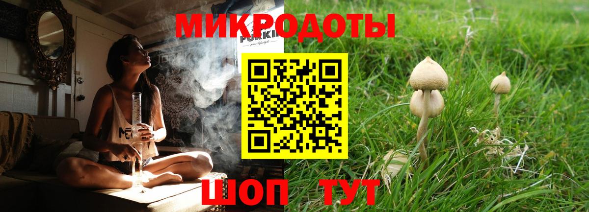Галлюциногенные грибы Psilocybe  Вход с VPN  Алексеевка 
