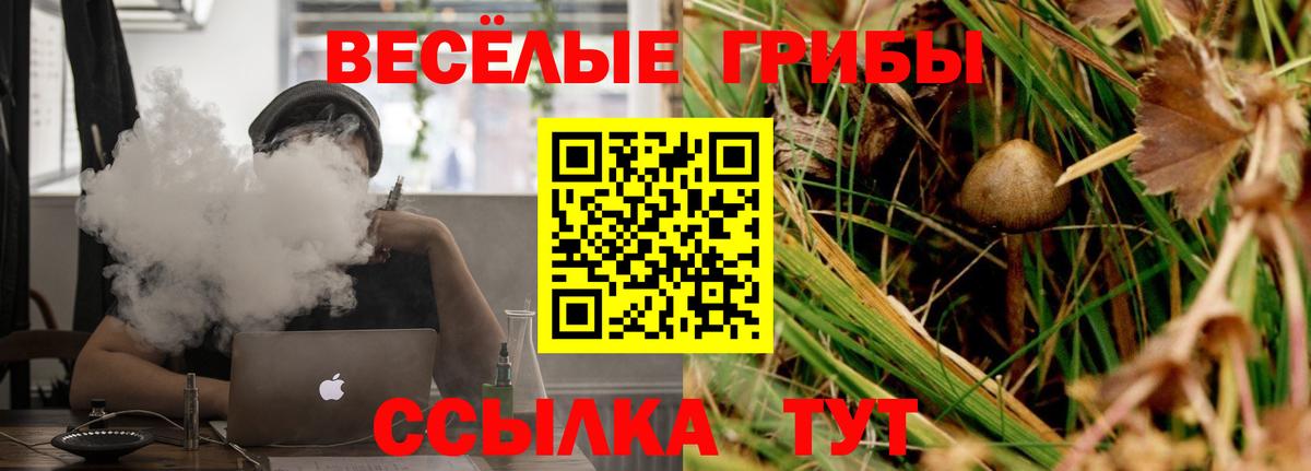 Галлюциногенные грибы GOLDEN TEACHER Алексеевка